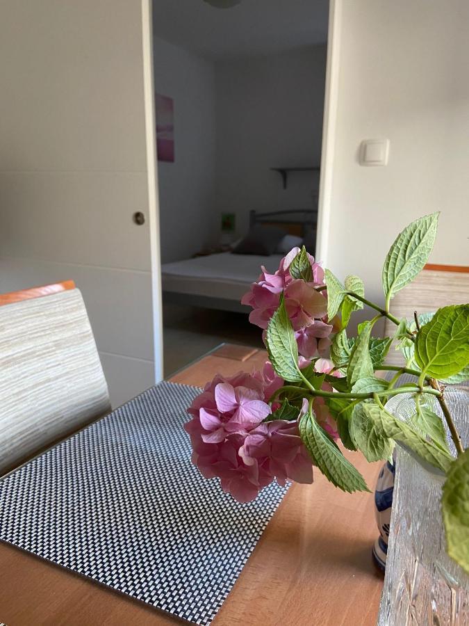 Duje & Roko Apartments Σίμπενικ Εξωτερικό φωτογραφία